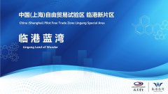 中國（上海）自貿(mào)新片區(qū)-臨港藍(lán)灣，注冊(cè)落戶易居易業(yè)！